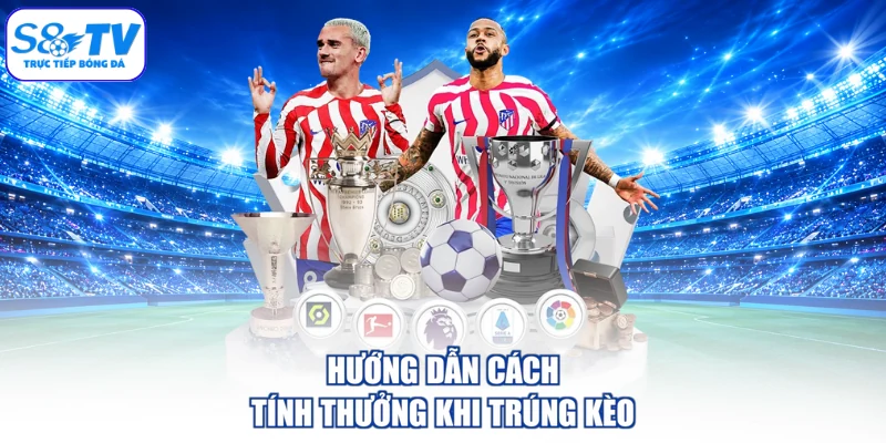 Hướng dẫn cách tính thưởng khi trúng kèo